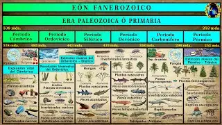 Las Eras Geol&oacute;gicas 3. La Era Paleozoica