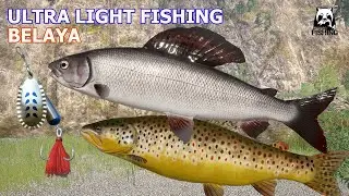 Russian Fishing 4 RF4 Belaya | Active spot Grayling. Ultra light fishing.