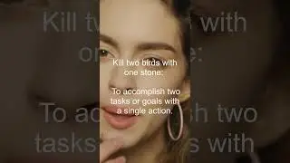 English Movie word Kill two birds with one stone meaning