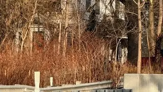 CONCLUSION TO HISTORIC MEMPHIS HOUSE ON THE HILL: DEMOLISHED!!