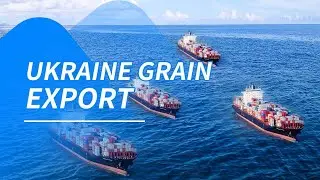 Russia Ends Ukraine Grain Export Deal: Current Status of Ukraine's Grain Exports  #ukrainewar