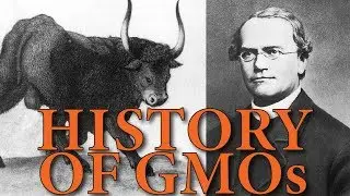 THE RISE OF GMOs IN 2019 | HISTORY | NATURE NEWS