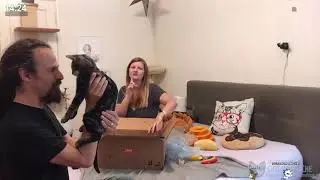 Entirely Pets unboxing