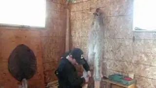 Working With Fur: Stretching  pelts