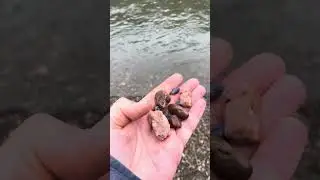 Драгоценные камни под ногами. #travelvlog #nature #подпишись #природа