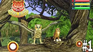 Owl Bird Simulator - Birds Simulator | RKM Gaming | Birds Family Survival | Wild Owl | #1