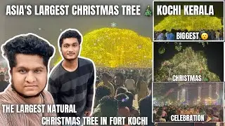 Exploring Kochi&rsquo;s Hidden Gem The Largest Natural Christmas Tree in Asia