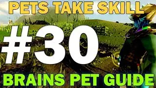 Pets take Skill | Episode 30  [BRAINS PET GUIDE] Runescape 3 Guides