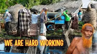 Today Our farmer life || We are hard working in the harvest field || Village life style