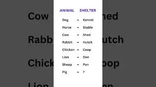 Animals and Their Shelters | Fun Learning for Kids