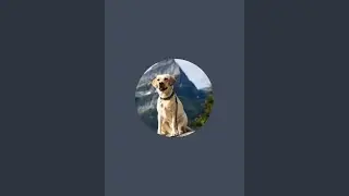 Jurassic Bark of Momo is live