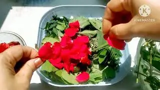 GET Silky Hair With This Natural Hair Gel After Only One Application ll Best Homemade Hair Gel