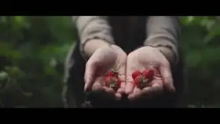 Fluturi Pe Asfalt - Nu crezi că pot?