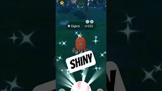 &ldquo;From Shiny Diglett to Golden Power 💫 Dugtrio Rises Underground 💥 #PokemonGO #ShinyHunt #EpicCatch&rdquo;