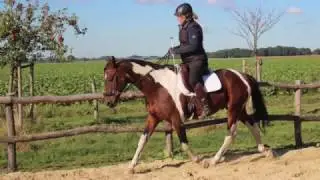 What is Connected Riding?