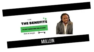 The Benefits: Plant Medicine Unlocked | Mullein