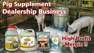 Pig Supplement Dealership Business | Pig Medicine | Pig Farming | Pig Booster | Swine | Vetmido