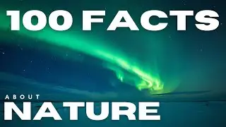 Fall Asleep to 100 Gentle Nature Facts | Scientifically Accurate & Soothing