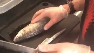 Kuidas ma ise kala fileerin? (NB: video pole mõeldud nõrganärvilistele)