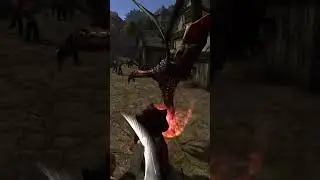 Безумная магия в Готика 2