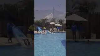 as&iacute; los concursos en pacifica resort ixtapa.... 🤪