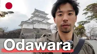 Castle Town Odawara（90mins from Tokyo）| Shinkansen ＆ local train | Japanese hidden gem