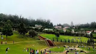 Road Trip to Ooty | Pine Trees, Hills & Peaceful Views 🌲💚 #ooty