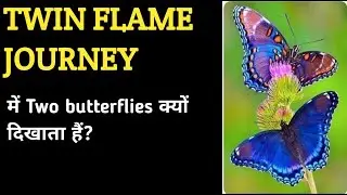 TWIN FLAME JOURNEY ME TWO BUTTERFLY KYO DIKHTA HAI, 2 butterfly dekhna HINDI @diviinetwinflame