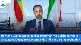 Howlaha Waxqabadka qaybta Horumarinta Bulshada Xoolo dhaqatada Deegaanka  . . .