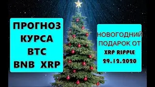 Прогноз курса криптовалют BTC Bitcoin, BNB Binance coin, XRP Ripple 29.12.2020