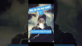 Amazing Human Body Facts | Cold | Hindi facts | kids | science fact | Why do we feel cold? ❄️