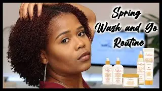 How To | Wash And Go Routine on Curly High Porosity Color-Treated Hair | Type 4A | Jasmine Zena'
