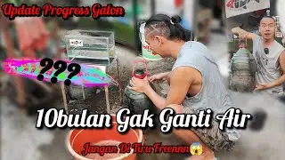 Update Progress Channa Maru Di Galon‼️10Bulan Gak Ganti Air❓