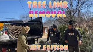 Tree Limb Removal (Ep 79.)