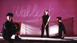 Wallenberg - Memories Damage [1986 France Goth Rock]