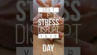 Best Product to Relieve Stress | Natural Stress Relief Product | Assyrian Mystic Aromatherapy Blend