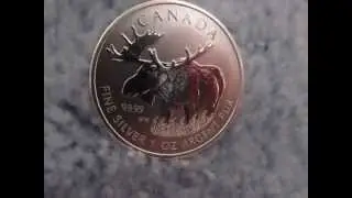 2012 Canadian Wildlife Series Moose Silver Bullion - 1 oz 99.99% Pure Silver HD