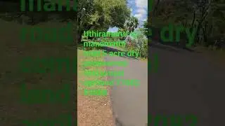 uthiramerur to manamathi road 5 acre dry commercial land punjai agriland 7708283888