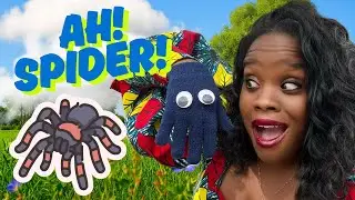 Spider Song for Kids 🕷 | Spiders for Kids | Learn About Spiders | Preschool & Toddler Bug Facts 