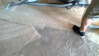 Carpet Tek deep cleaning