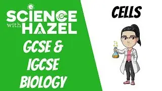 Animal, Plant, Fungi & Bacteria Cells | GCSE/IGCSE Biology | AQA, Edexcel, CIE, OCR