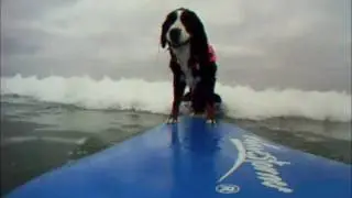 Nani Surfing OB