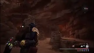 Remnant from the ashes build Radiant critical