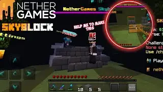 Me And My Friend Playing netherganes skyblock and he make money farm for me