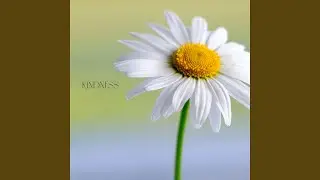 Kindness