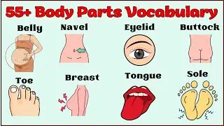 Theme 1:  55+ Body Parts Vocabulary | Learn English vocabulary #vocabularyenglish