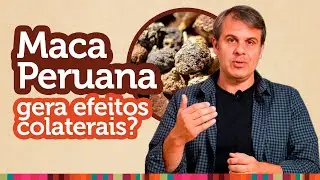 Maca Peruana: efeitos colaterais e para que serve