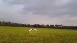 paramotore flyrc.it single skin