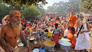 सिद्ध संत महावीर बाबा जी का चमत्कार, एक साथ कई दुर्लभ संतों के दर्शन 