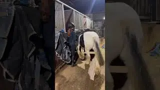 Time for bed #equinestyle #horse #equestrianjourney #horseenthusiast #equestrian